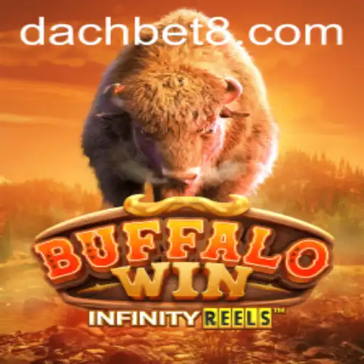 BuffaloWin: The Latest Sensation by DachBet
