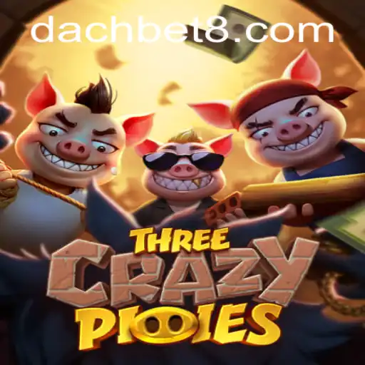 Discover ThreeCrazyPiggies: The New Gaming Sensation by DachBet
